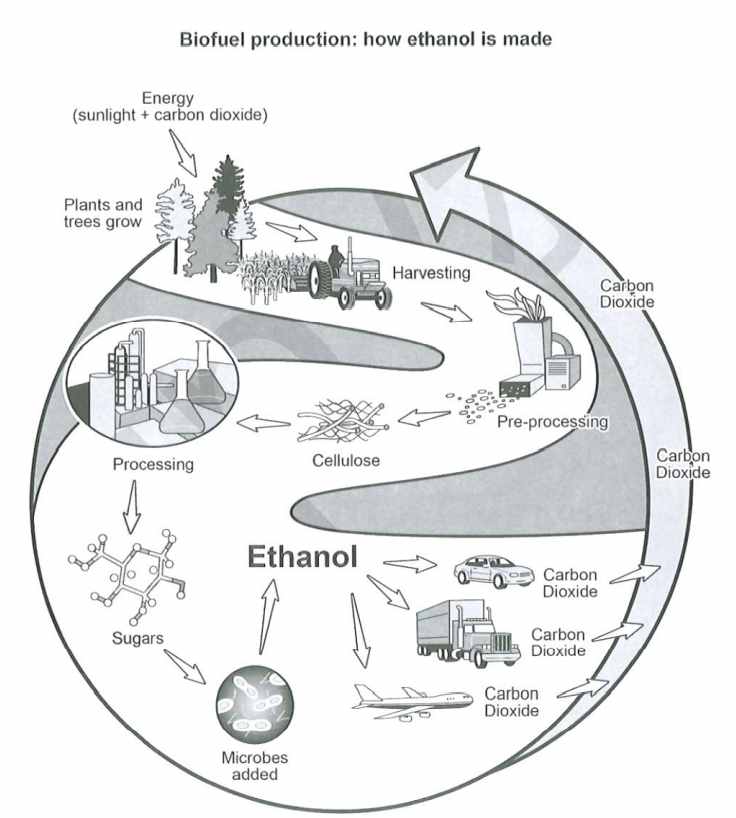 IELTS process diagram:  Biofuel production: